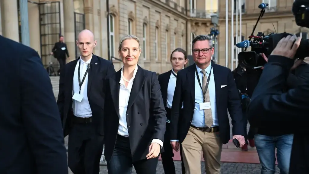 alice weidel — DE news