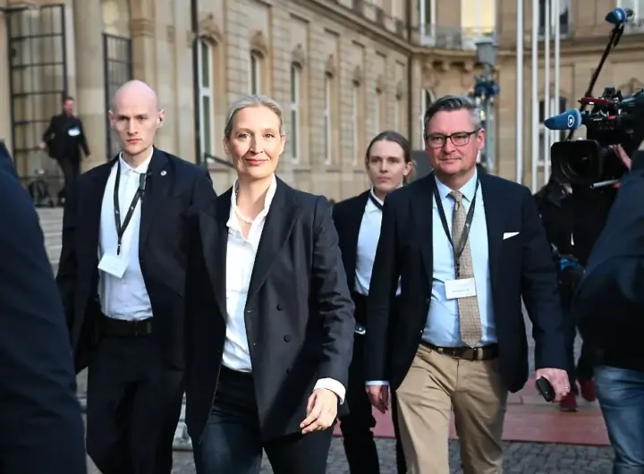 alice weidel — DE news