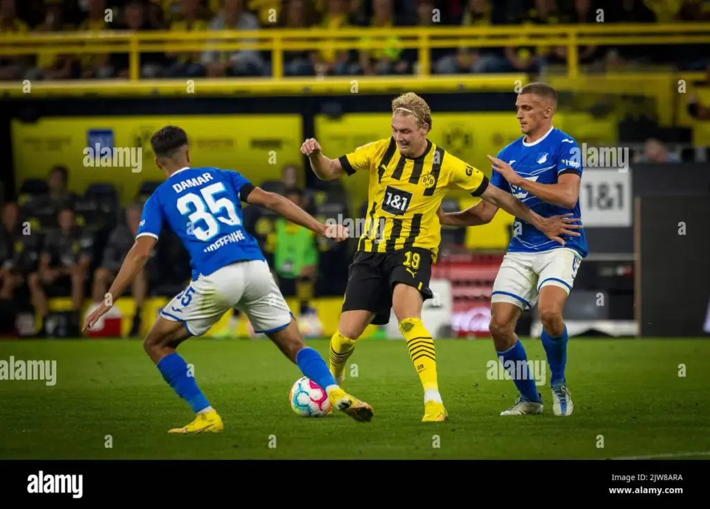 brandt bvb — DE news