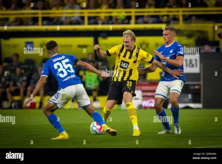 brandt bvb — DE news