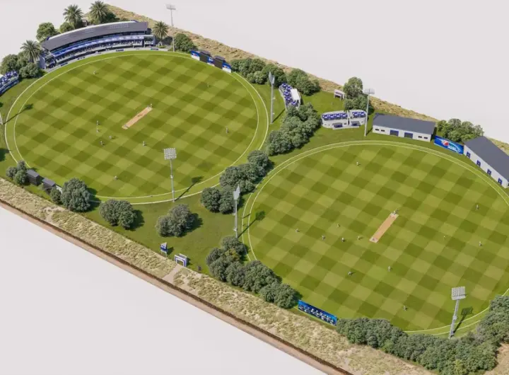 cricket — DE news