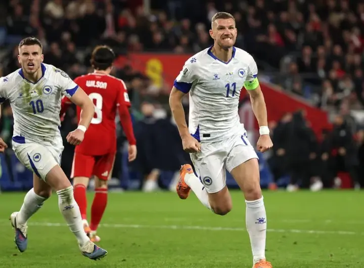 dzeko — DE news