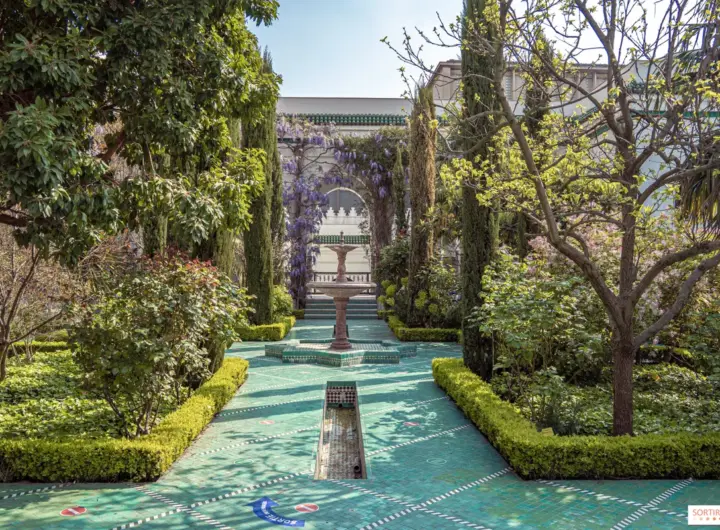 eid al fitr 2026 — DE news