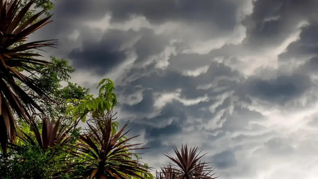 el nino — DE news