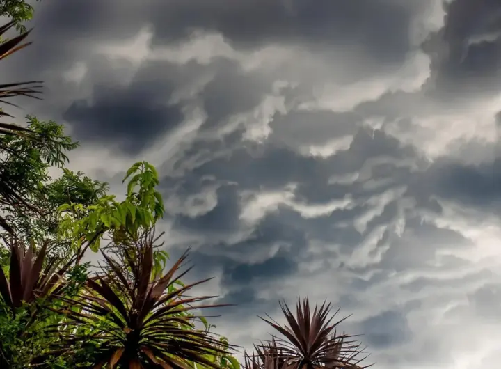 el nino — DE news