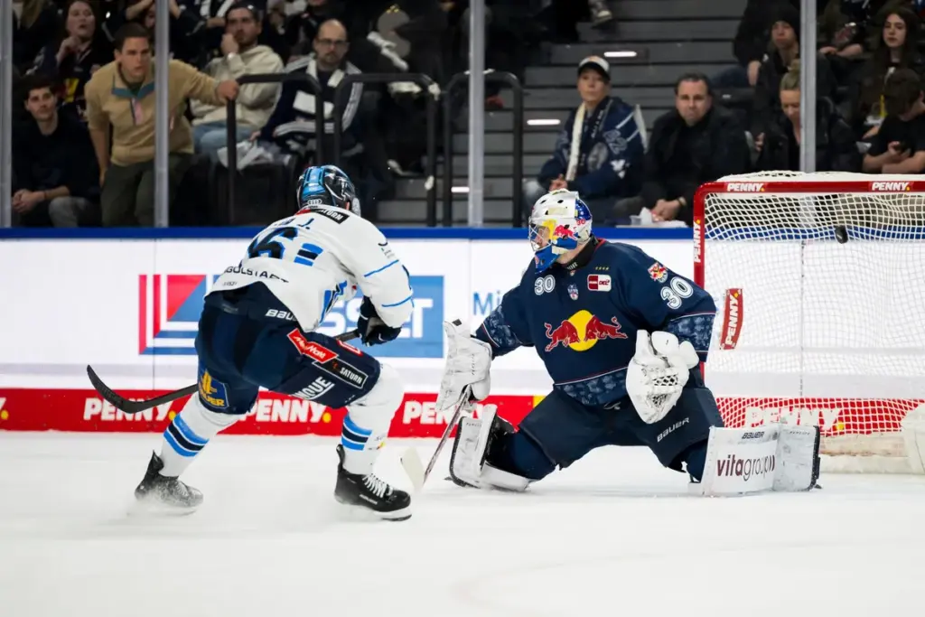 erc ingolstadt — DE news