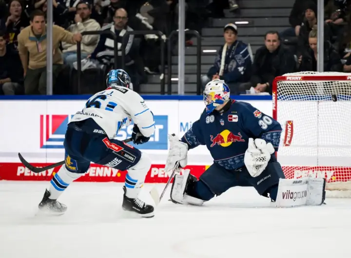erc ingolstadt — DE news