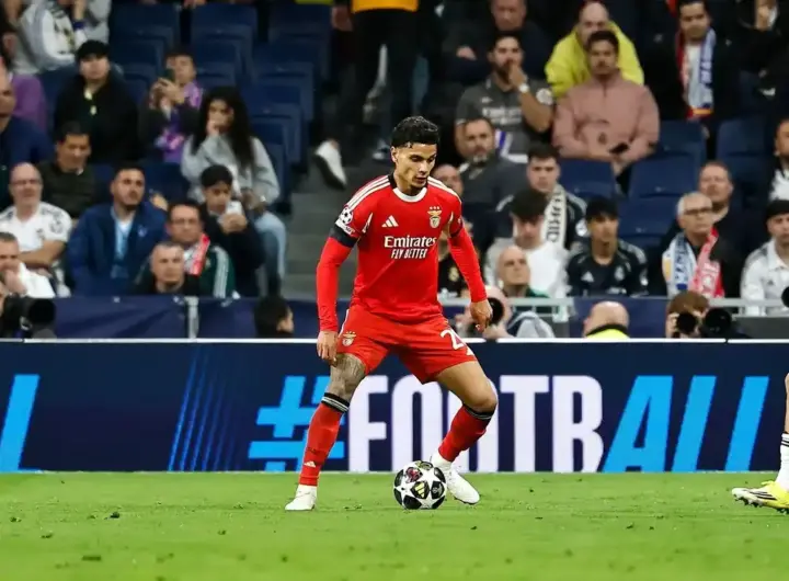 gil vicente – benfica — DE news