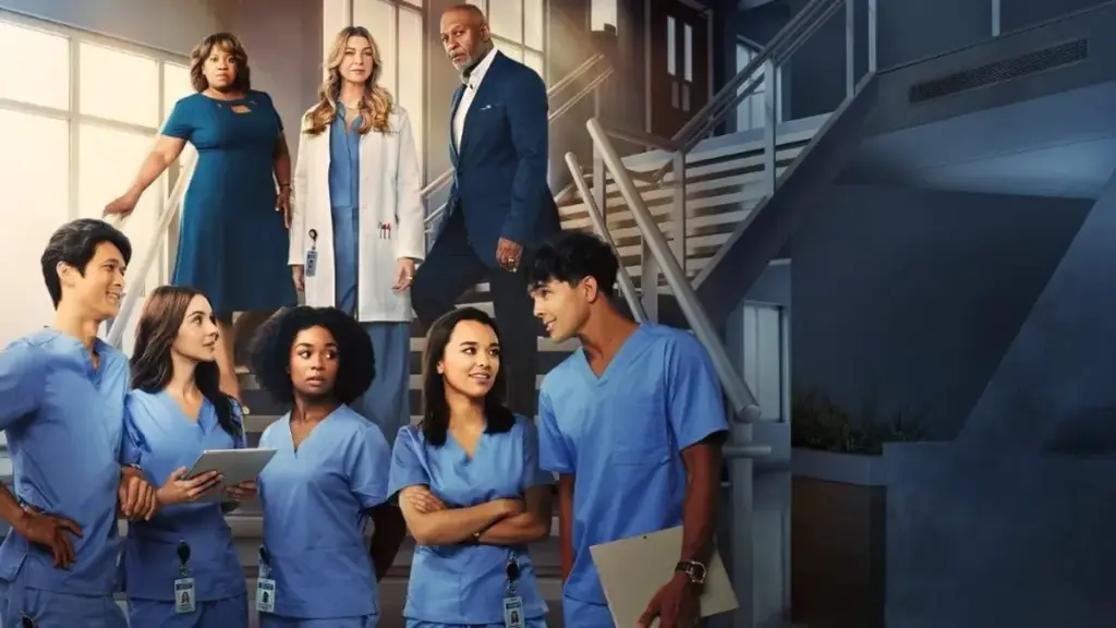 greys anatomy staffel 22 — DE news