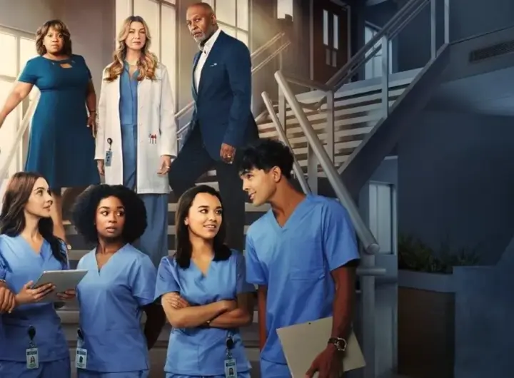 greys anatomy staffel 22 — DE news