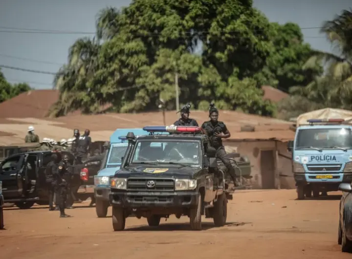 guinea — DE news