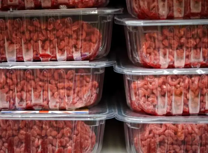 hackfleisch — DE news