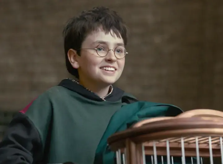 harry potter serie lord voldemort — DE news