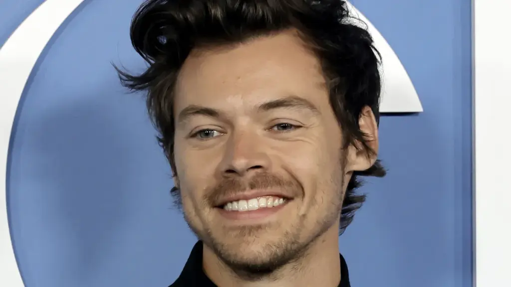 harry styles tom — DE news