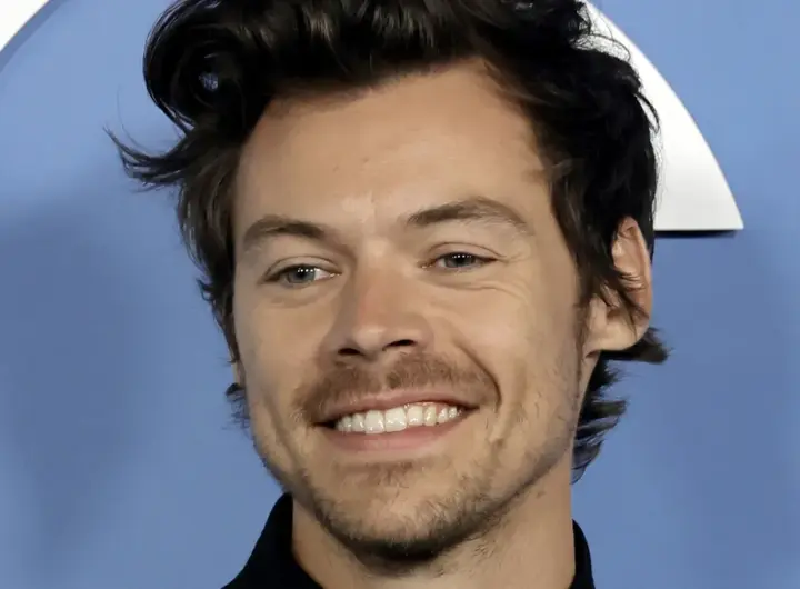 harry styles tom — DE news