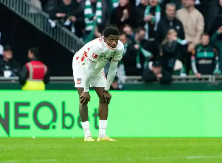 heidenheim – hoffenheim — DE news
