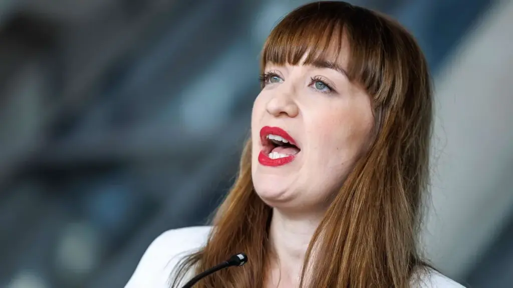 heidi reichinnek — DE news