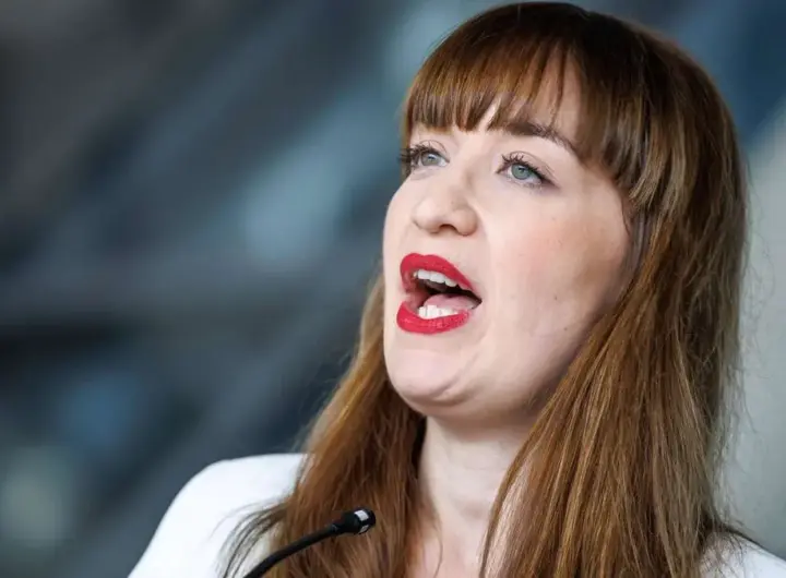 heidi reichinnek — DE news