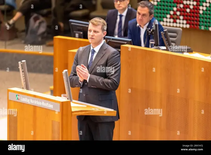 henning höne — DE news