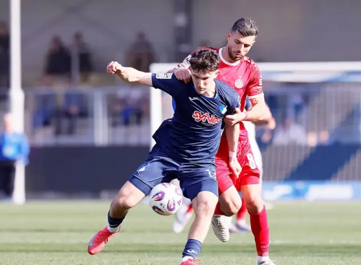 hoffenheim ii – rwe — DE news