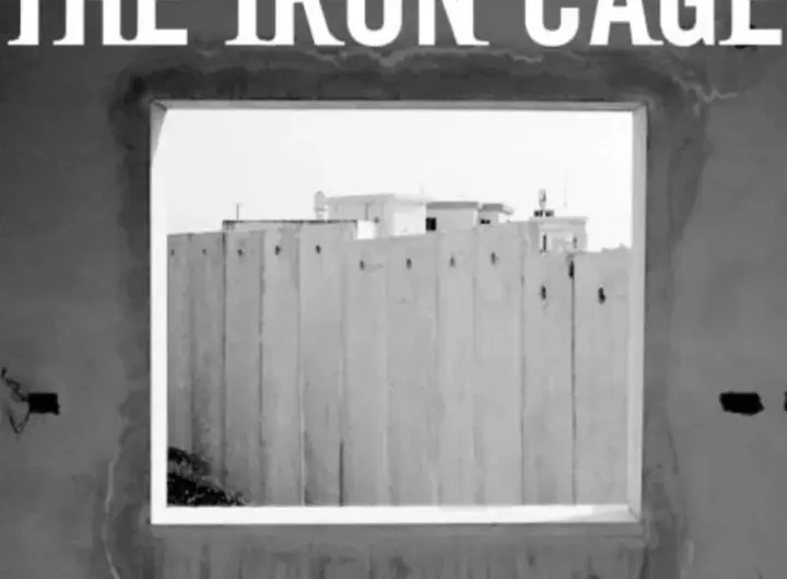 iron cage — DE news