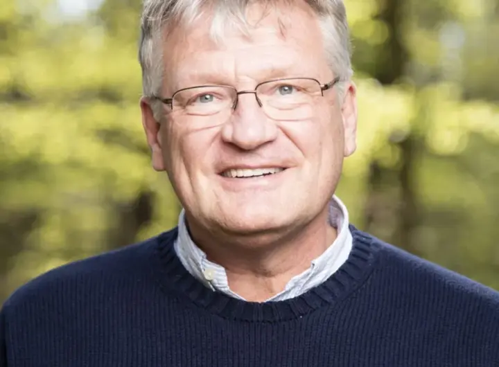 jörg meuthen — DE news