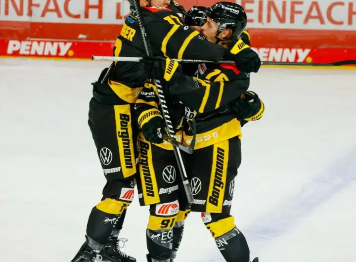 krefeld pinguine — DE news
