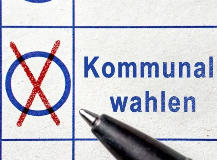 landratswahl cham — DE news
