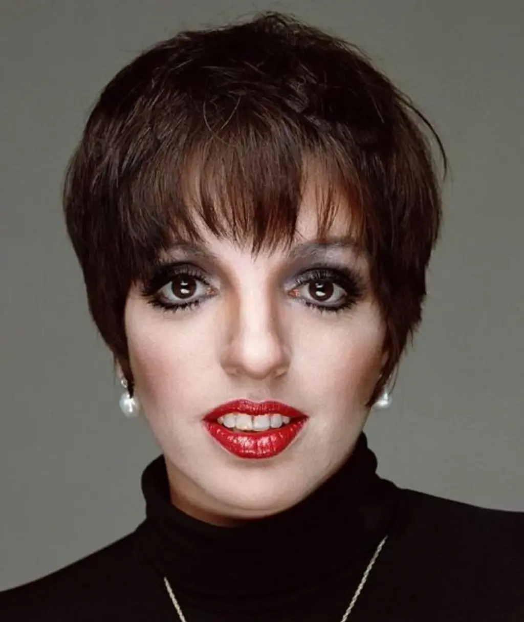 liza minnelli — DE news