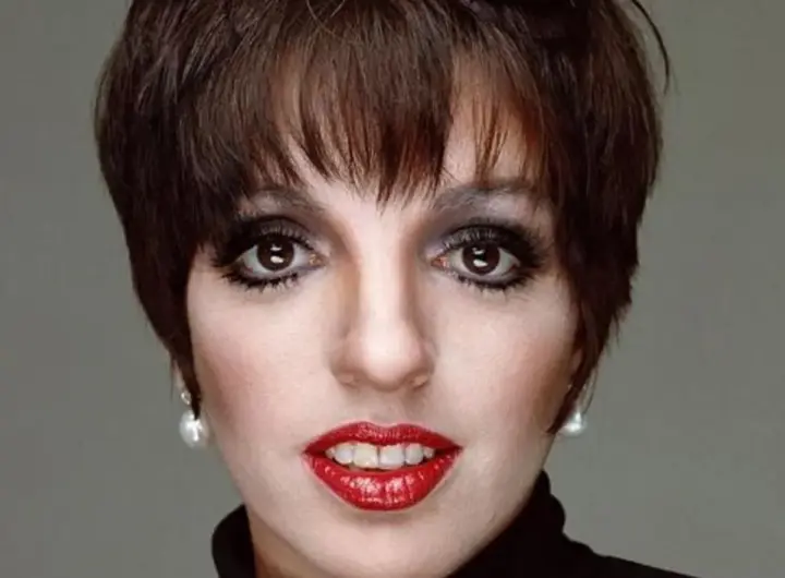 liza minnelli — DE news