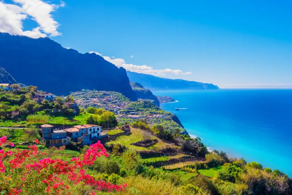madeira — DE news