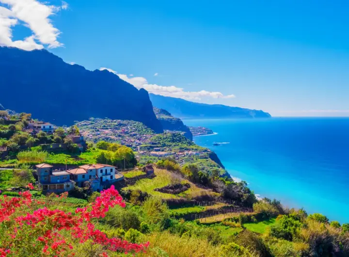 madeira — DE news