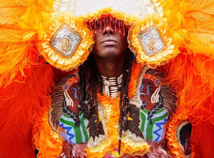 mardi gras new orleans — DE news