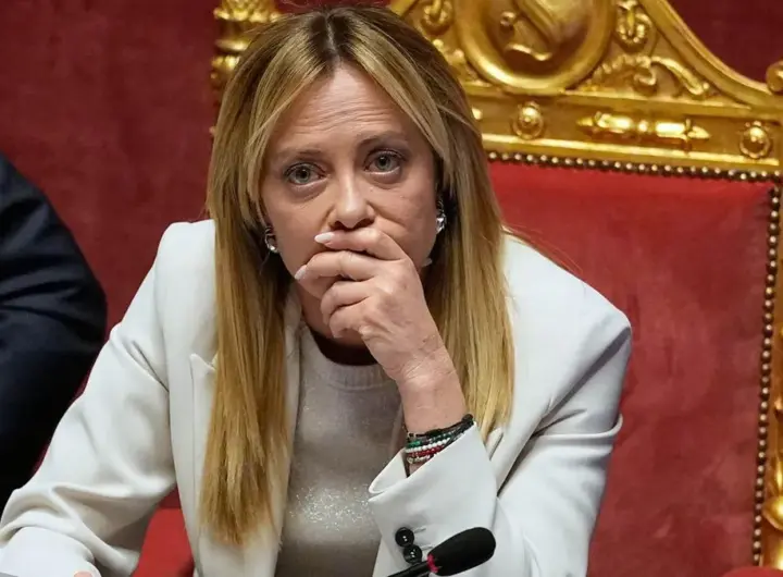 meloni — DE news