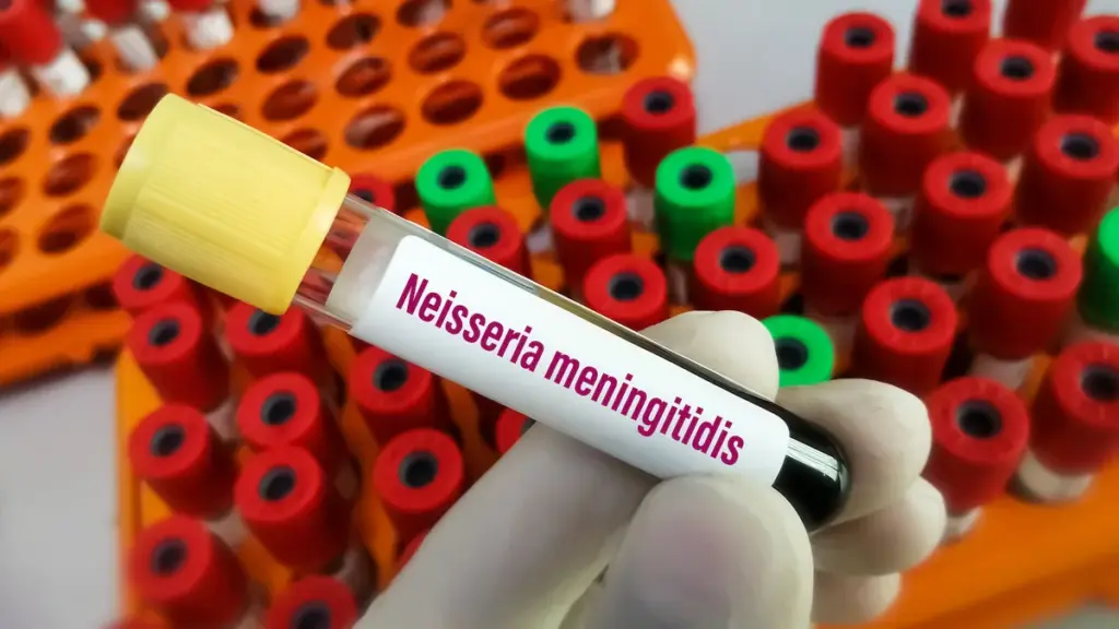 meningitis impfung — DE news