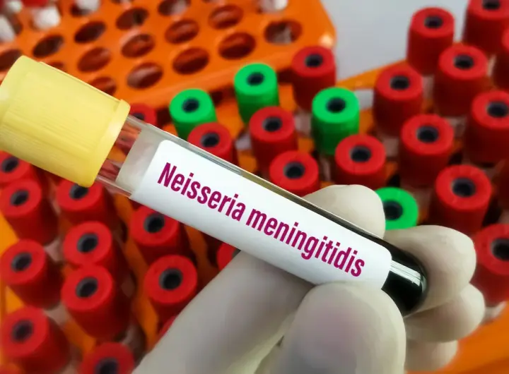 meningitis impfung — DE news