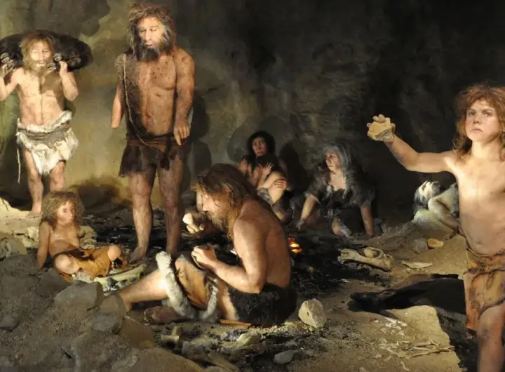 neandertaler — DE news