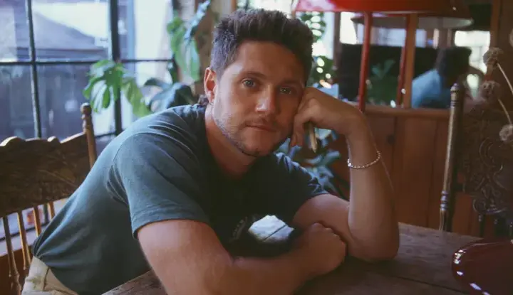 niall horan — DE news