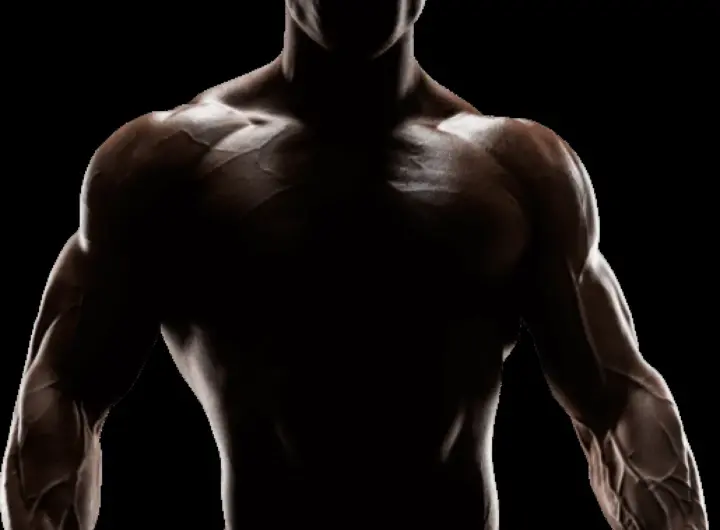 oktagon 85 — DE news