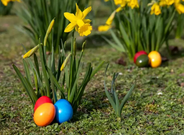 osterwetter — DE news