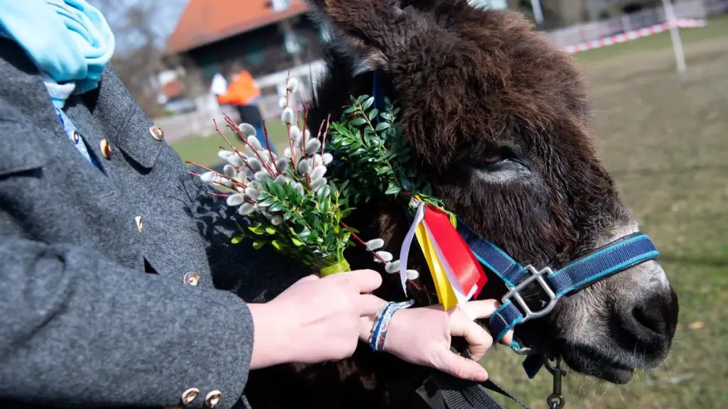 palmsonntag 2026 — DE news