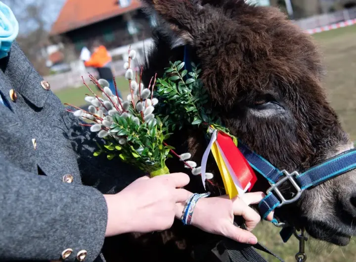 palmsonntag 2026 — DE news