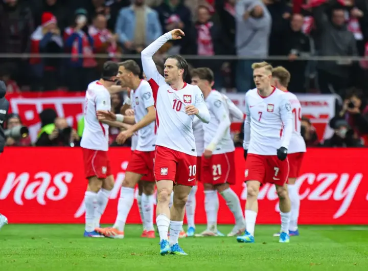 polska szwecja — DE news