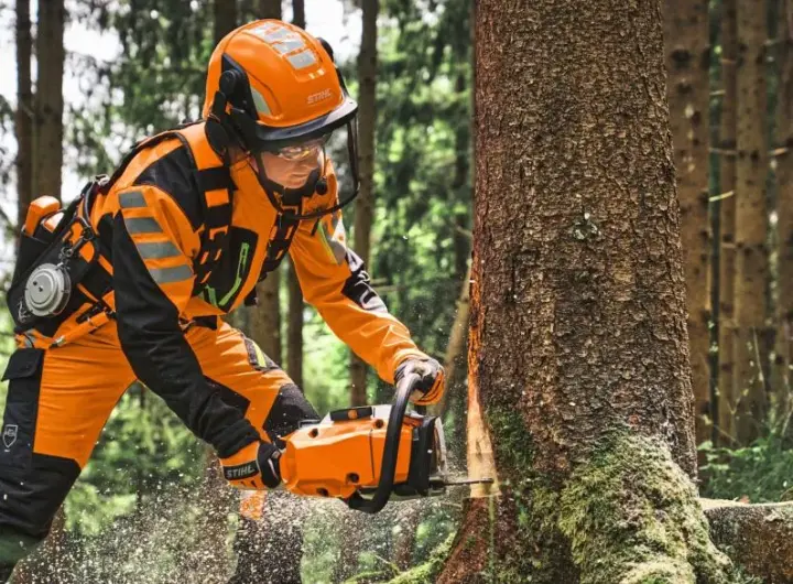 stihl ms 300 — DE news