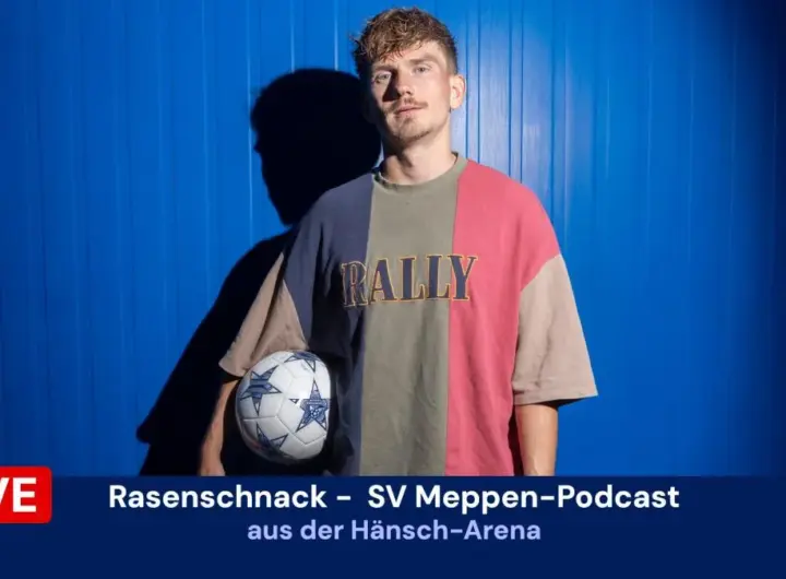 sv meppen — DE news