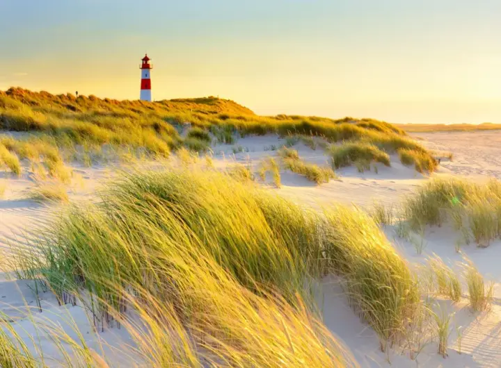 sylt — DE news
