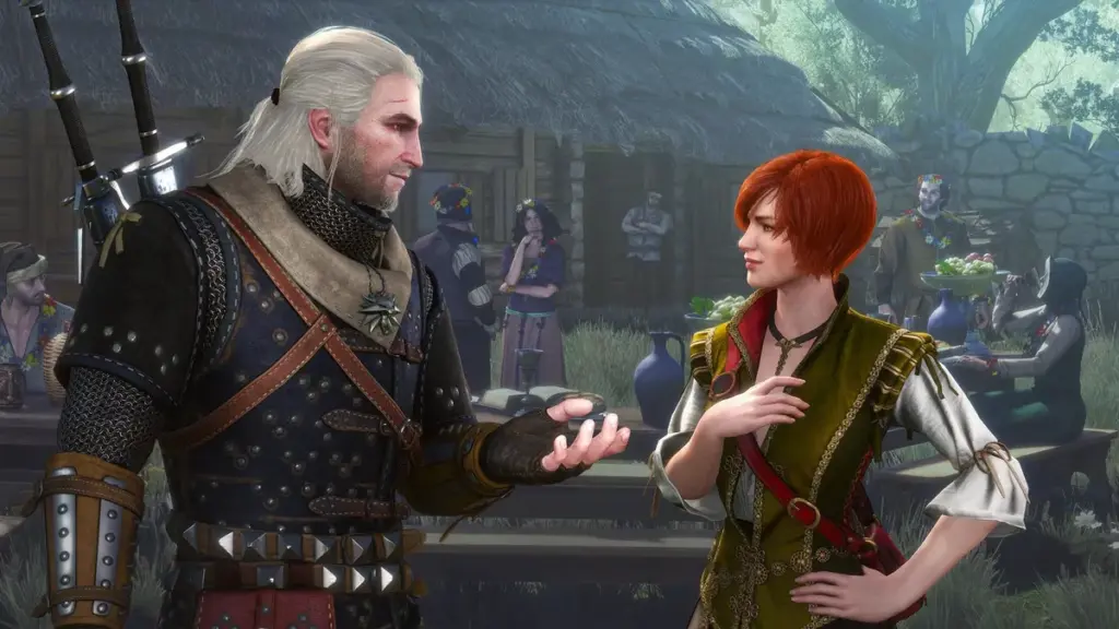 the witcher — DE news