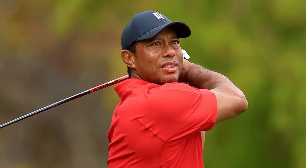 tiger woods unfall — DE news