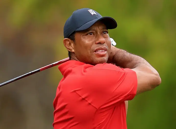 tiger woods unfall — DE news