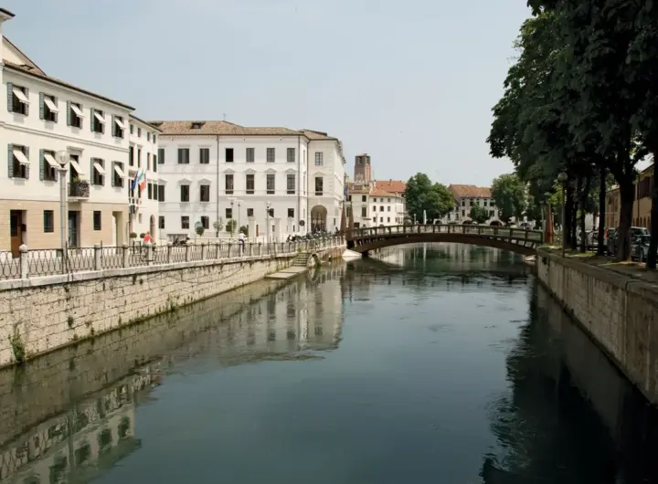 treviso — DE news
